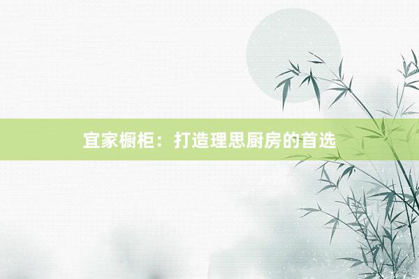 宜家橱柜：打造理思厨房的首选