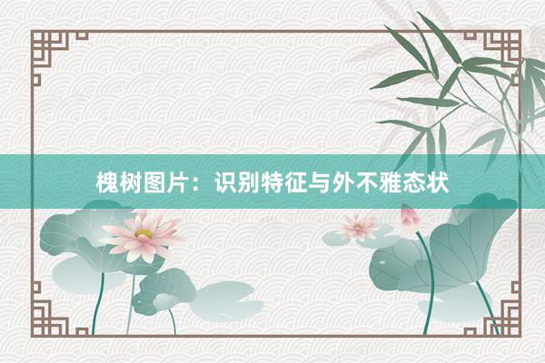槐树图片：识别特征与外不雅态状